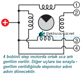 4 bobinli step motor